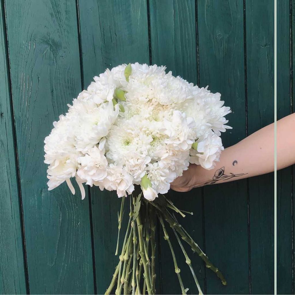 carnation-meaning-discover-the-true-origins-and-symbolism-of-this-flower