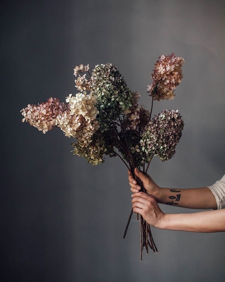 Dried hydrangea bouquet