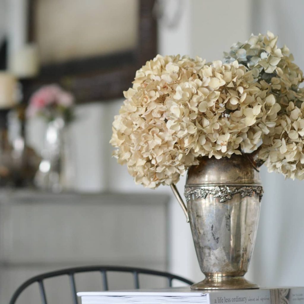 Dried hydrangeas