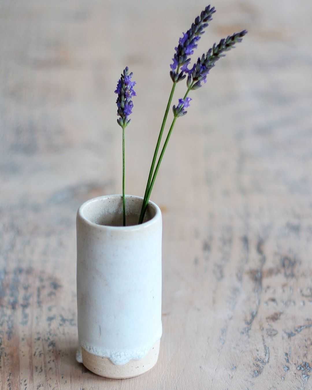 Lavender meaning, origins, and other interesting facts