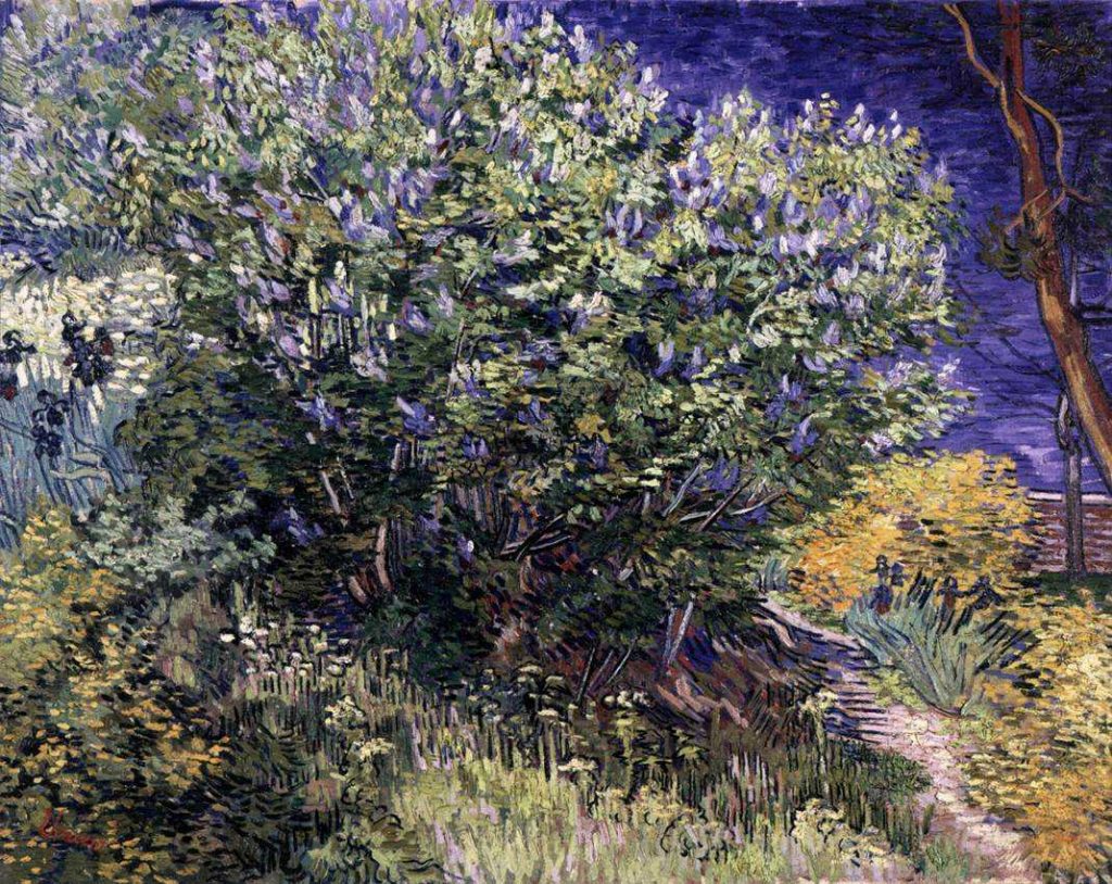 Van Gogh's lilacs